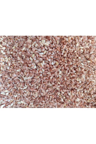 Sarı Kılçık Kırmızı Pirinç 1 Kg