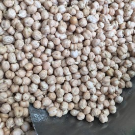 Nohut 1Kg