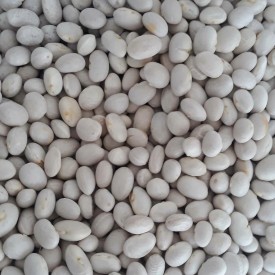 Şeker Fasulye 1 Kg